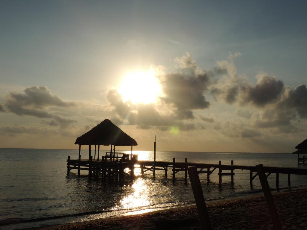 Parrot Cove Lodge Хопкінс Екстер'єр фото